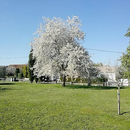 A La Campagne Dans Corps De Ferme Renovee *